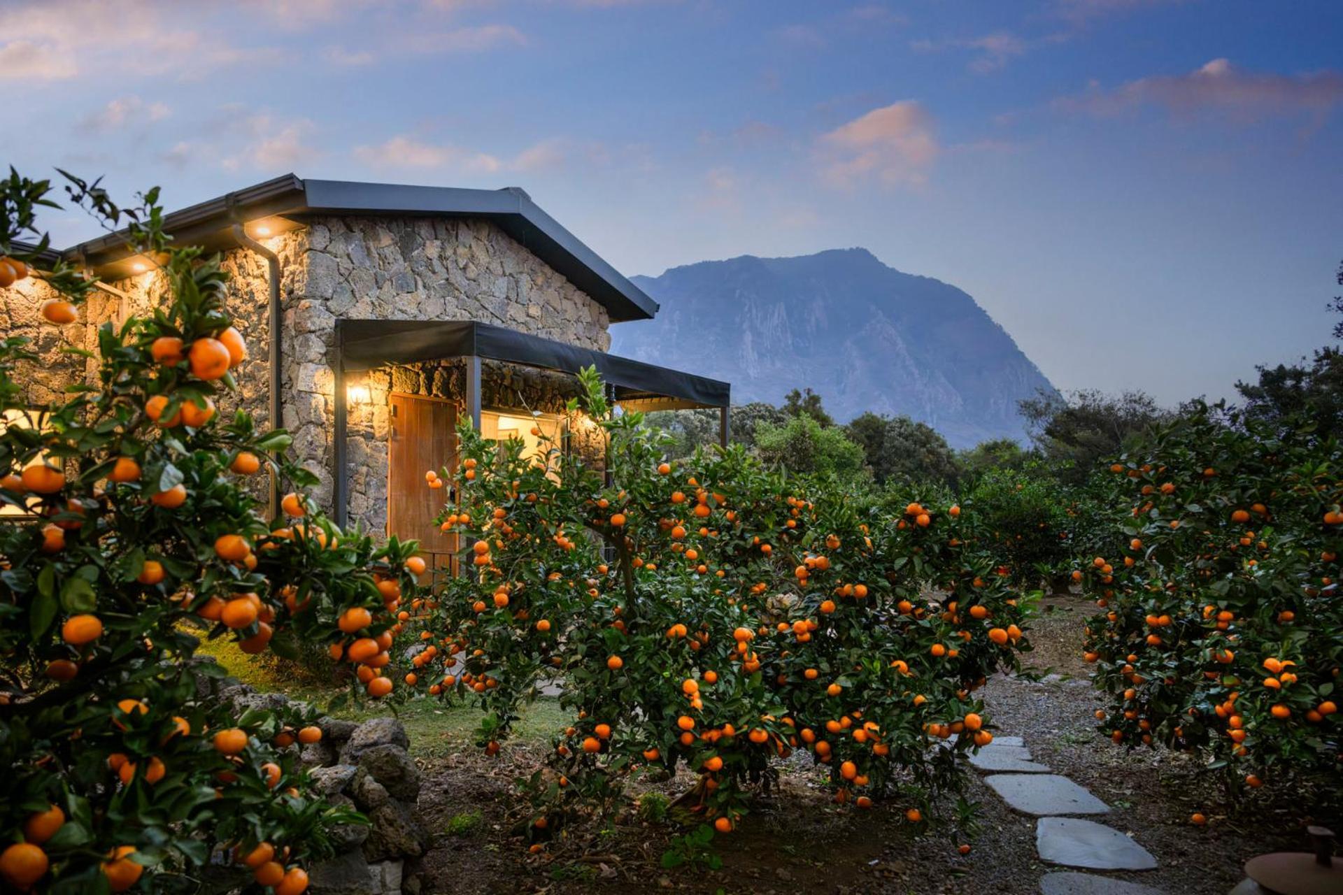 Wol Yeong Sa Gye Villa Seogwipo Exterior foto